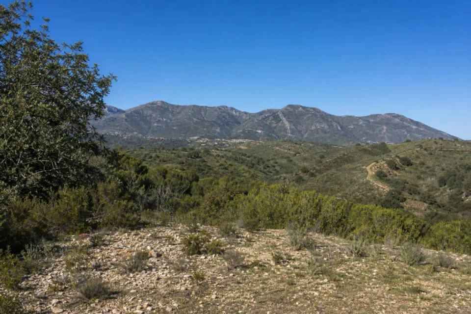 Parcela urbana en Marbella